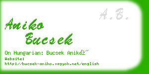 aniko bucsek business card